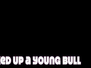 Picked up a young bull trailer, free free young xxx dhuwur definisi porno